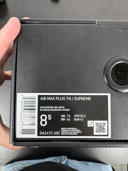 Nike Tn x Supreme White (42)