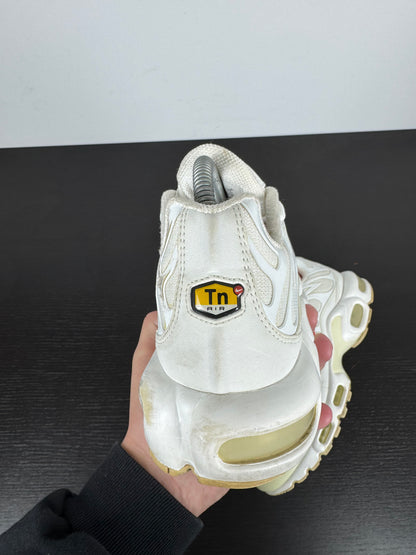 Nike Tn x Supreme White (42)