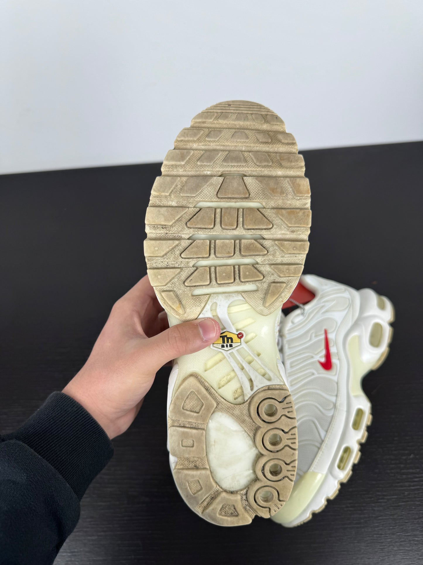 Nike Tn x Supreme White (42)